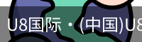 U8国际